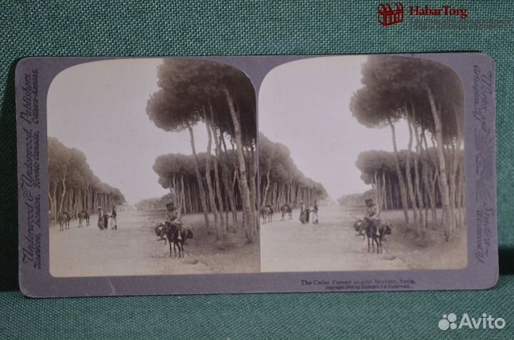 Стереопара старинная, стереофото 