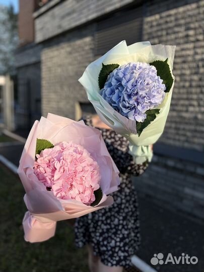 Букет цветов гортензия