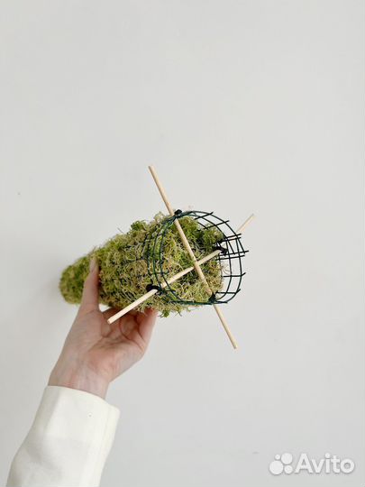 Опора для растений с воздушными корнями