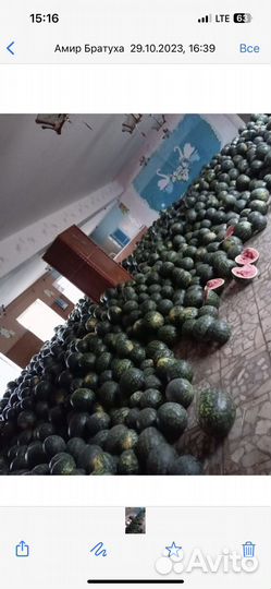 Продам арбузы, в розницу и оптом)