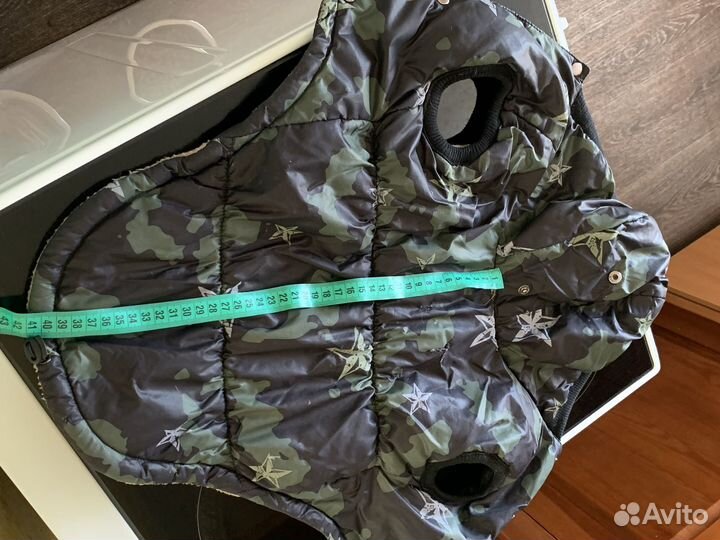 Одежда для собак