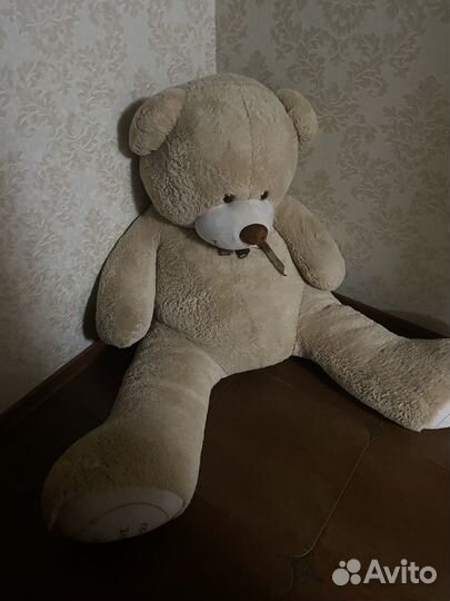 Плюшевый медведь