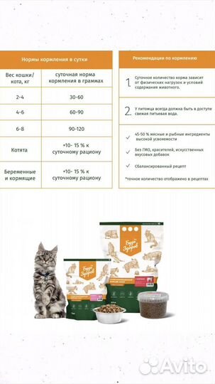 Сухой корм Будь Здоров для кошек с рыбой 2,5кг
