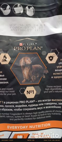 Корм для собак