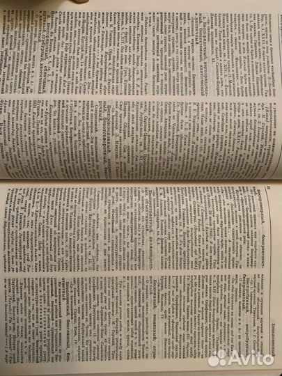 Словарь синонимов Евгеньевой в 2 томах