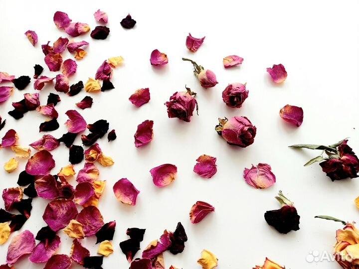 Сухоцветы для творчества розы