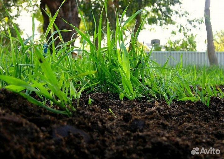 Растительный грунт