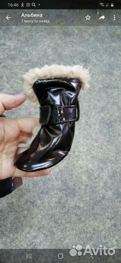 Сапожки для собаки