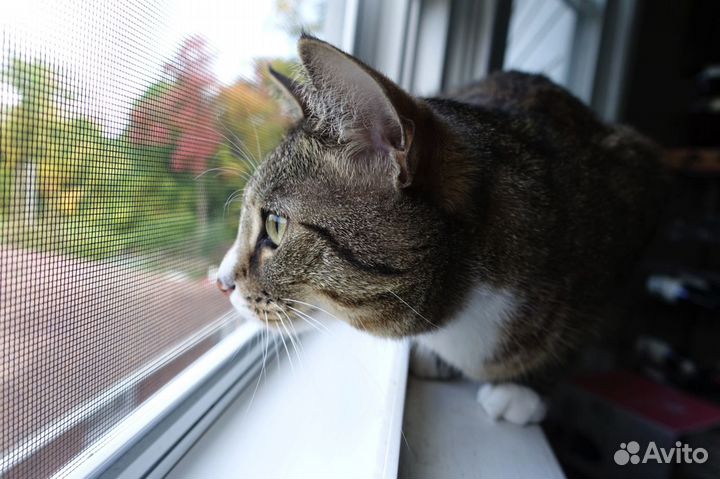 Москитные сетки