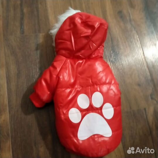 Новая курточка для собачки мини