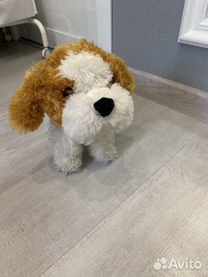 Собака робот