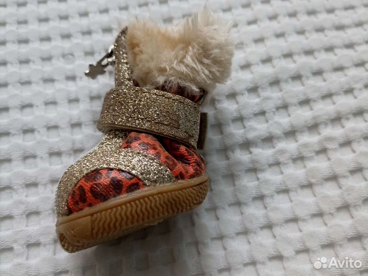 Ботинки для маленьких собак