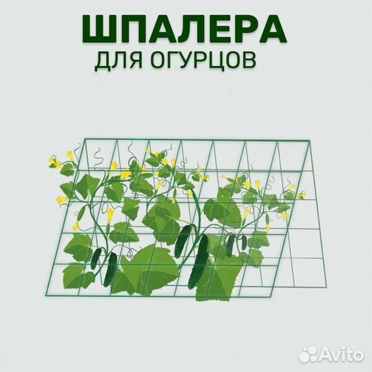 Шпалера для огурцов пергола