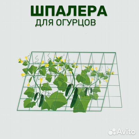 Шпалера для огурцов пергола