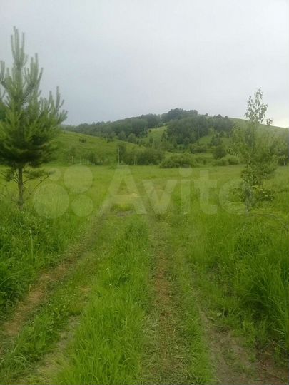 Участок 50 сот. (СНТ, ДНП)