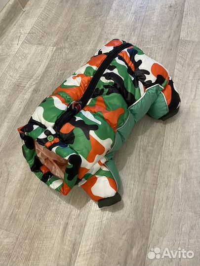 Одежда для собак