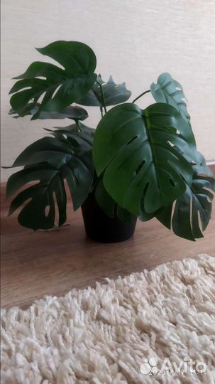 Искусственная Монстера