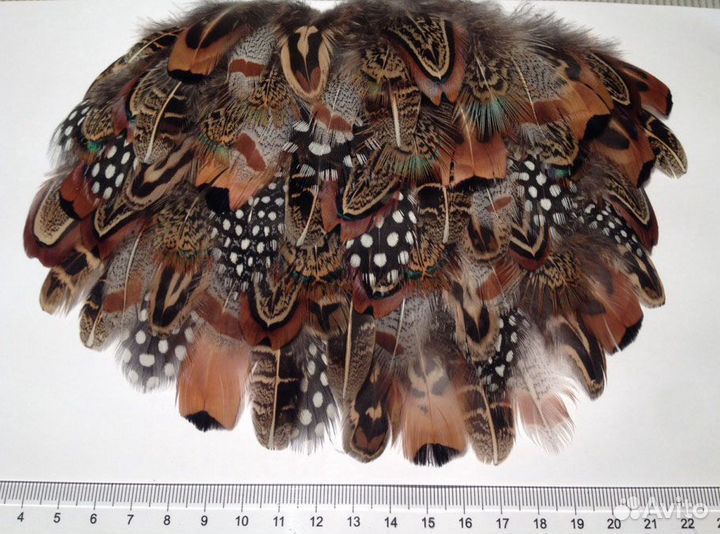 Перья для коллекции