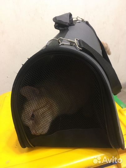 Переноска для котиков