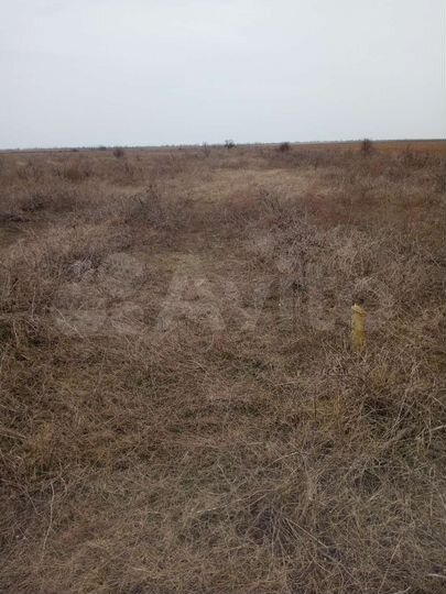 Участок 17 сот. (СНТ, ДНП)