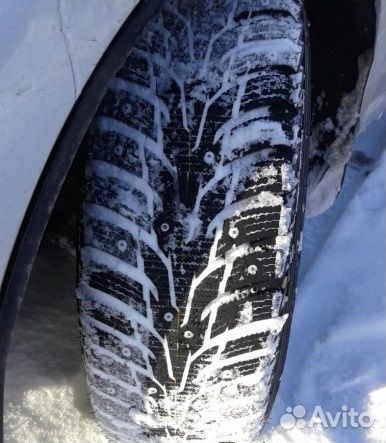 Nexen Winguard WinSpike WH62 205/50 R17 93T