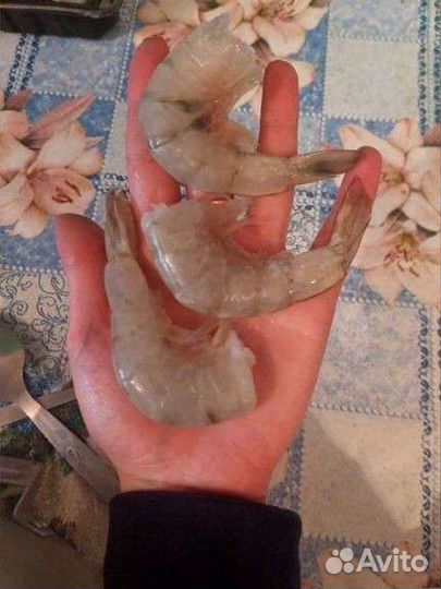 Креветки хвосты 21/25