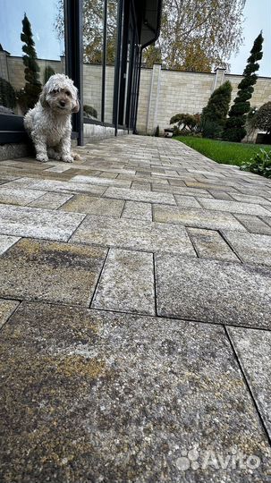 Тротуарная плитка листопад от 120 м2