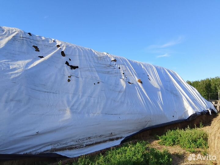 Сено в тюках