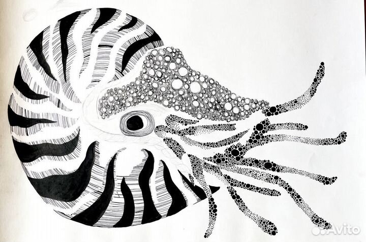 Скорпион наутилус графика картина