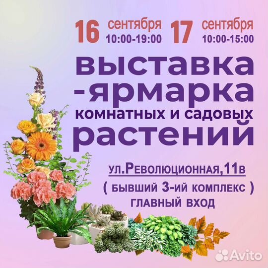 Выставка цветов