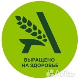 Продавец консультант