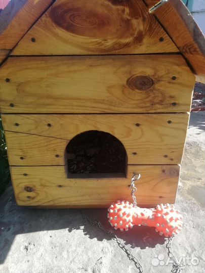 Собачья будка