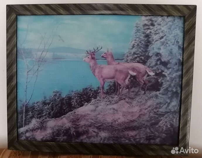 Картины