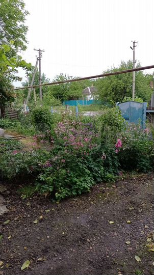 Дом 55 м² на участке 40 сот.