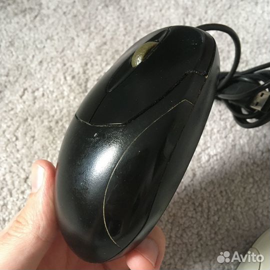 Компьютерные мыши