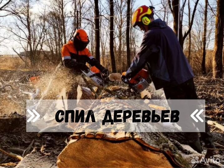 Спил деревьев