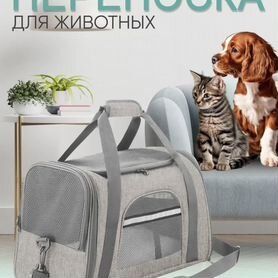 Переноска для животных