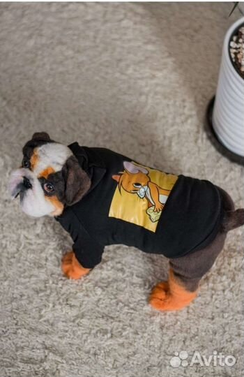 Толстовка для животных новая