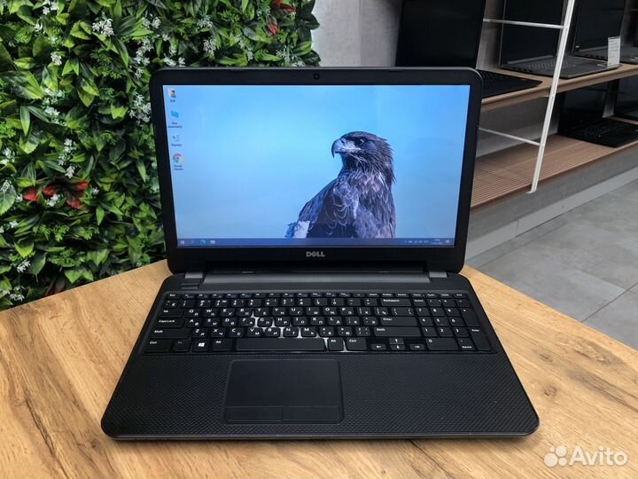 Идеальный Dell/15.6HD/Core i3/16Gb/SSD256