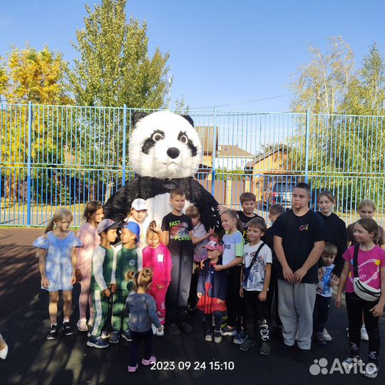 Панда поо Услуги аниматора