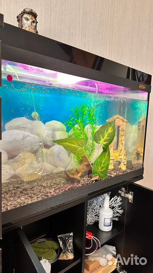 Аквариум ccб 150 литров