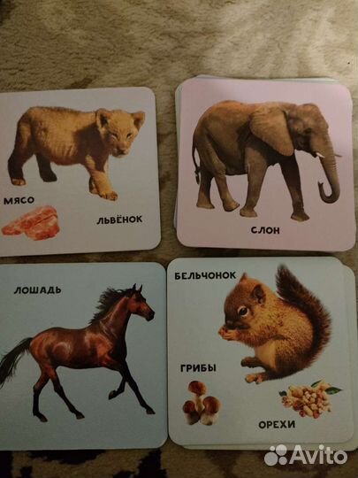 Развивающие карточки
