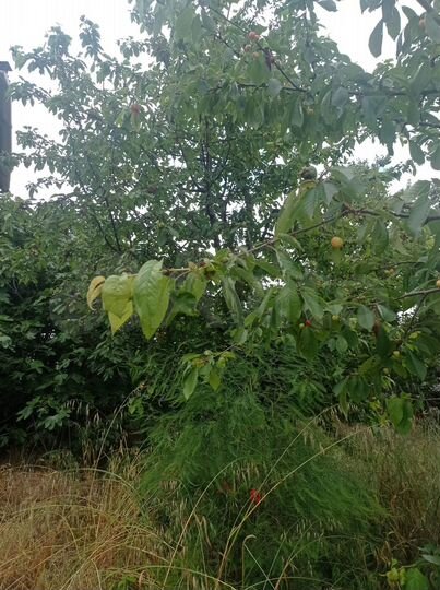 Дом 126 м² на участке 4 сот.