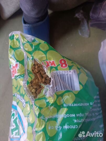 Туалет для кошек