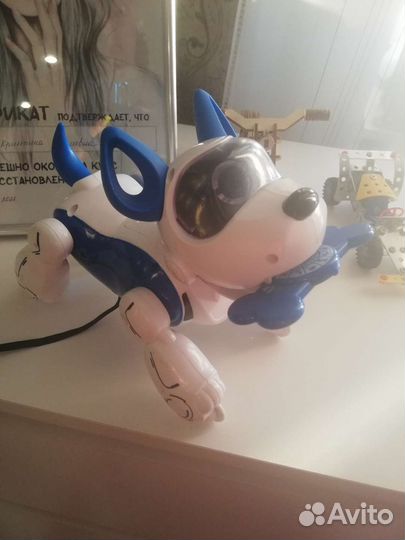 Собака и робот