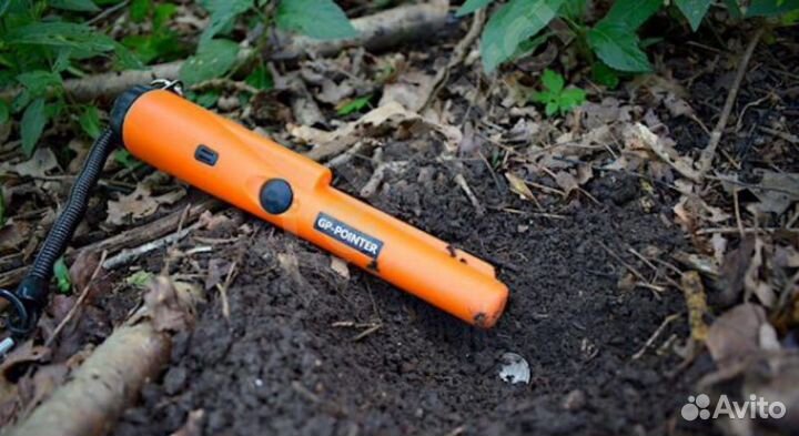 Металлоискатель, пинпоинтер в аренду