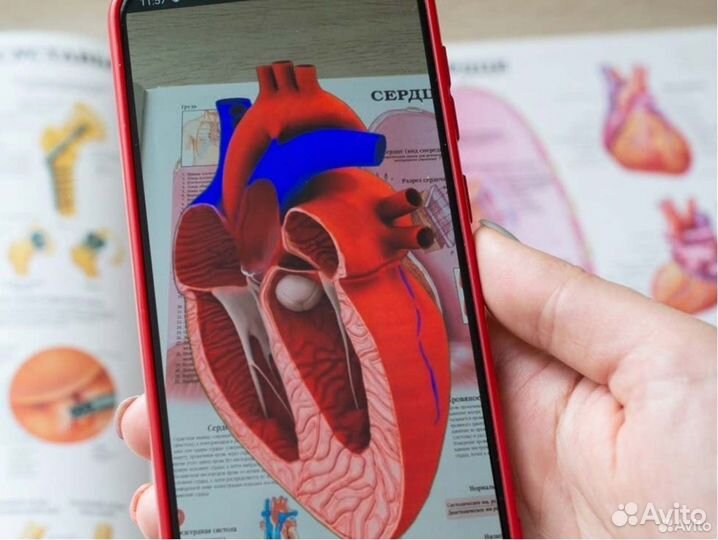 Ищу партнера. 60 годовых. Готовый бизнес