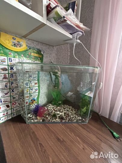 Аквариум