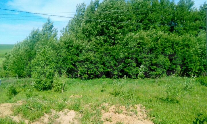 Участок 6 сот. (ИЖС)