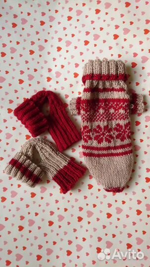 Свитер и шапочки для маленькой собаки